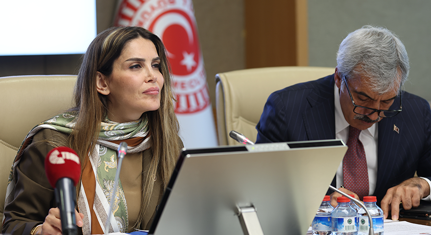 TBMM'DE KARMA ALT KOMİSYON TOPLANDI